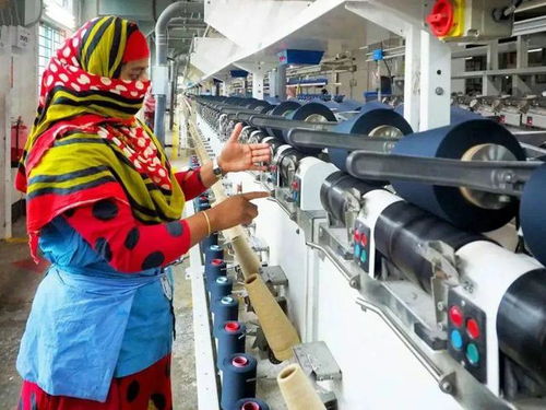 全球产业链震荡下的社会经济发展观察与应对策略